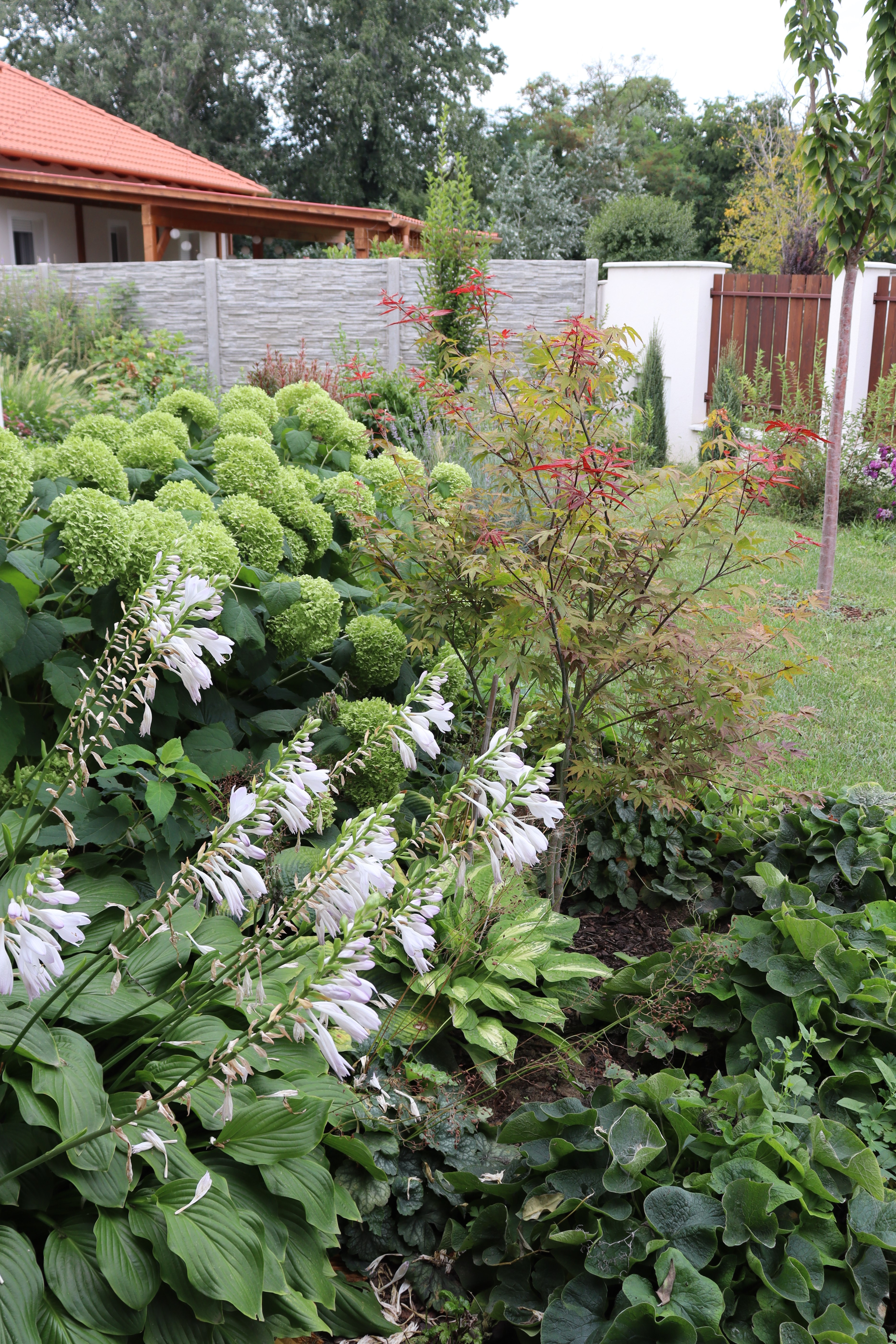 Torsán Lilla - Kerttervezés & tanácsadás