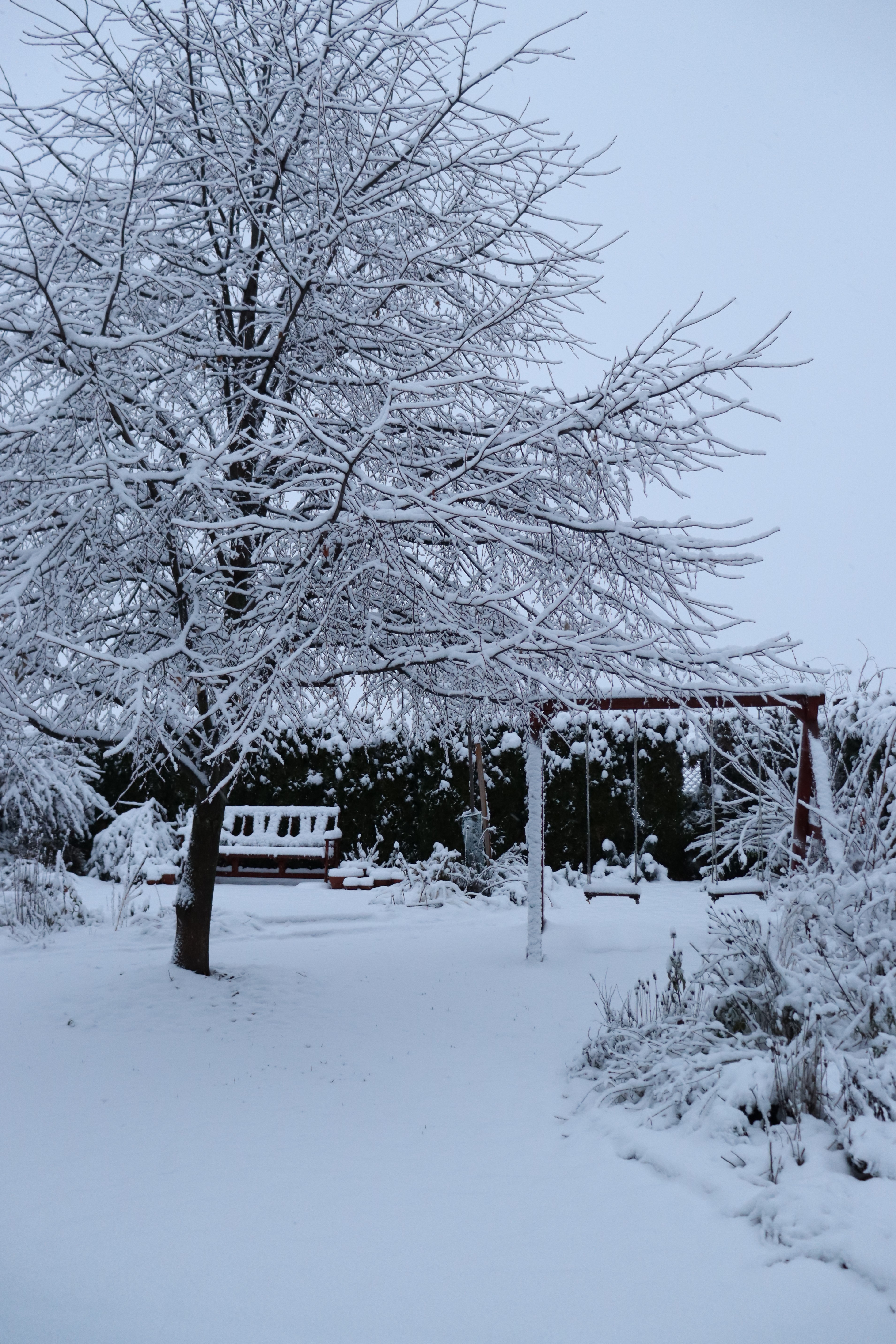 Torsán Lilla - Kerttervezés & tanácsadás
