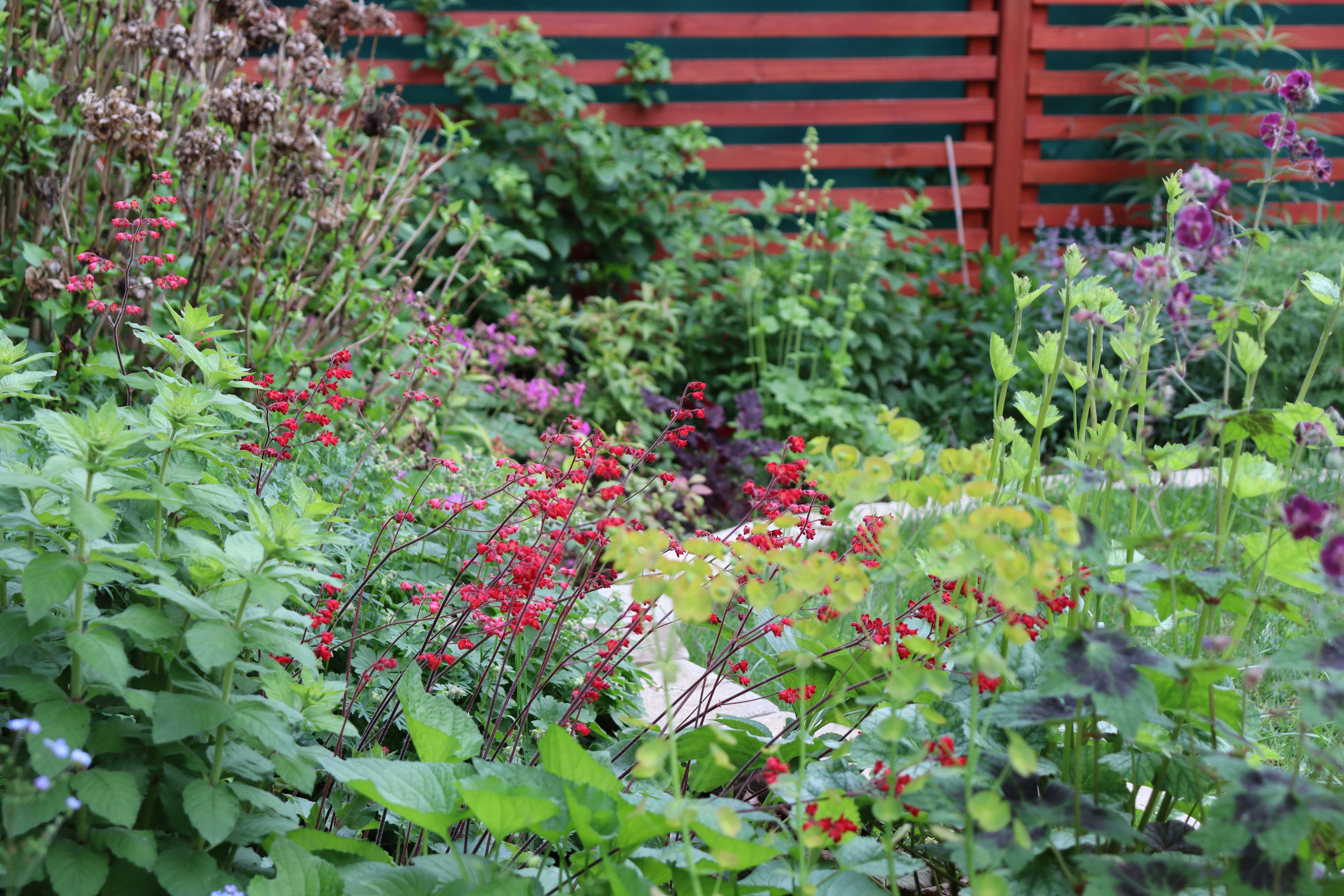 Torsán Lilla - Kerttervezés & tanácsadás