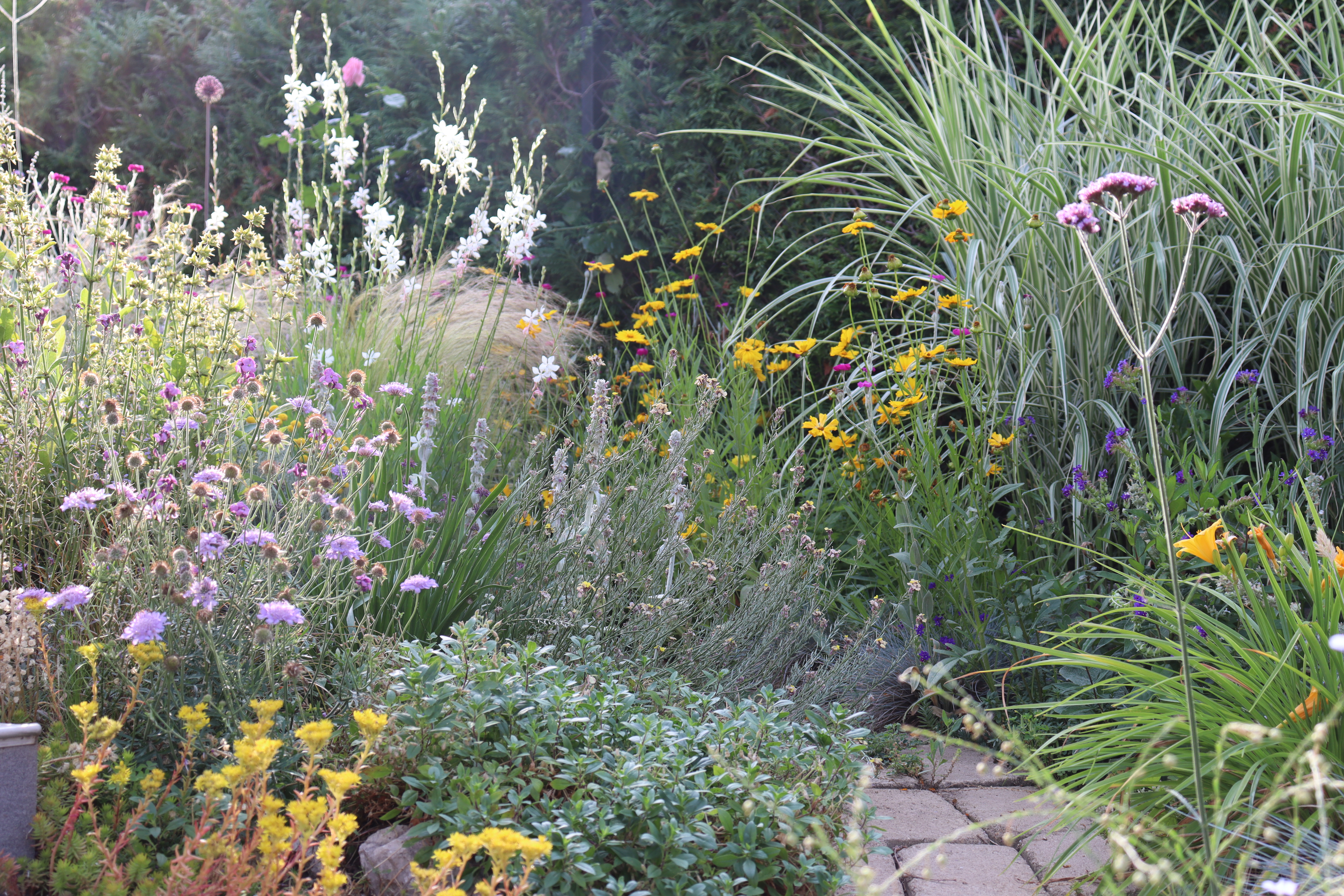 Torsán Lilla - Kerttervezés & tanácsadás