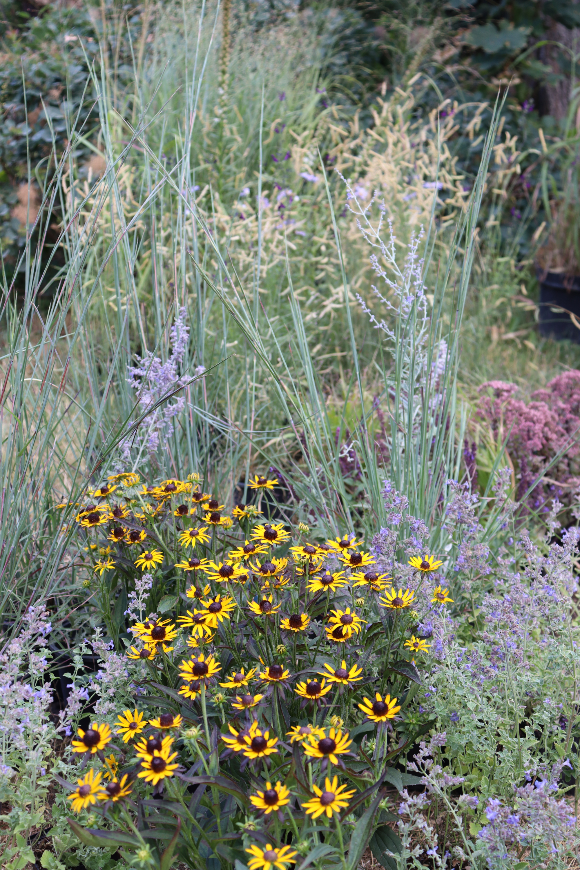 Torsán Lilla - Kerttervezés & tanácsadás