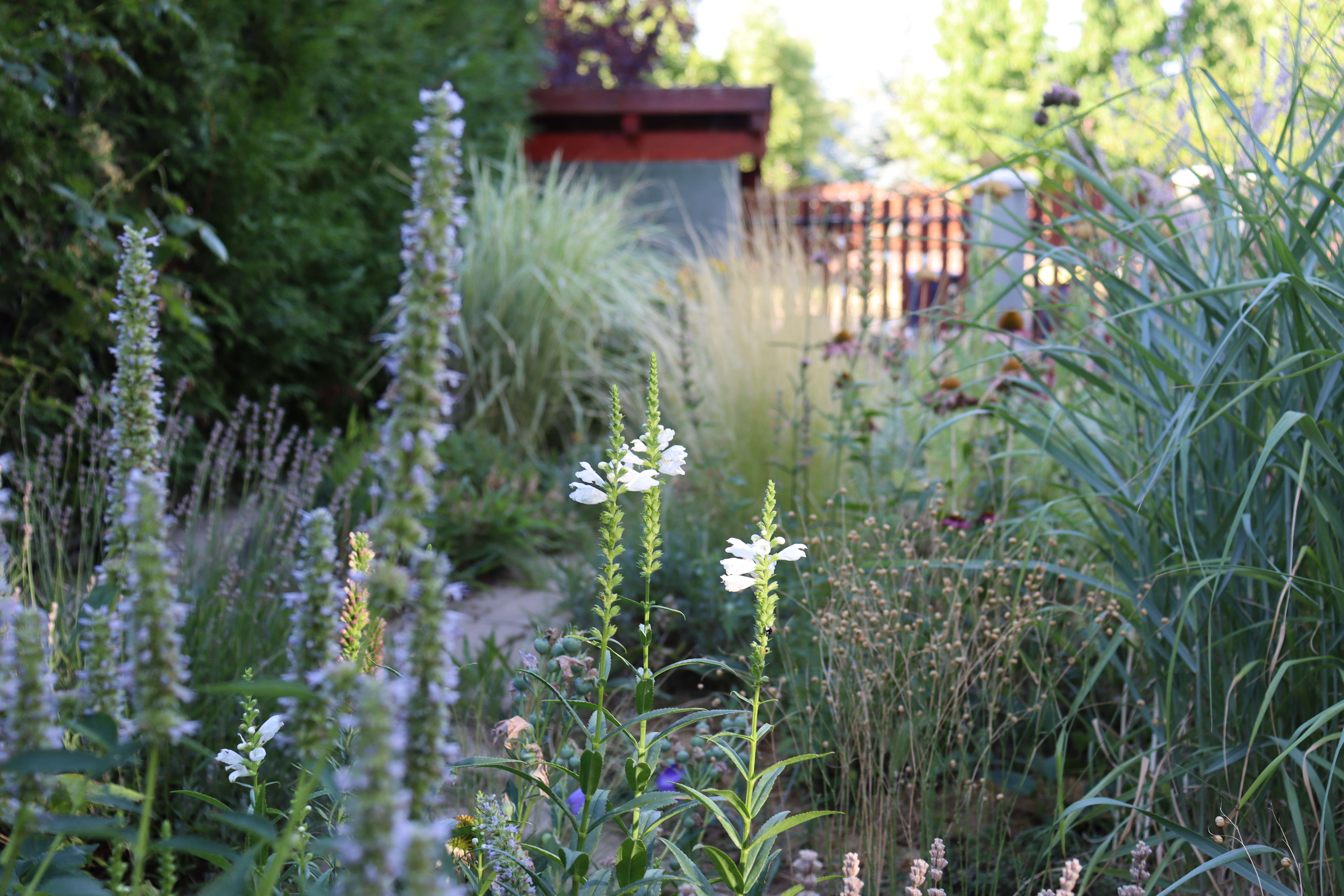 Torsán Lilla - Kerttervezés & tanácsadás