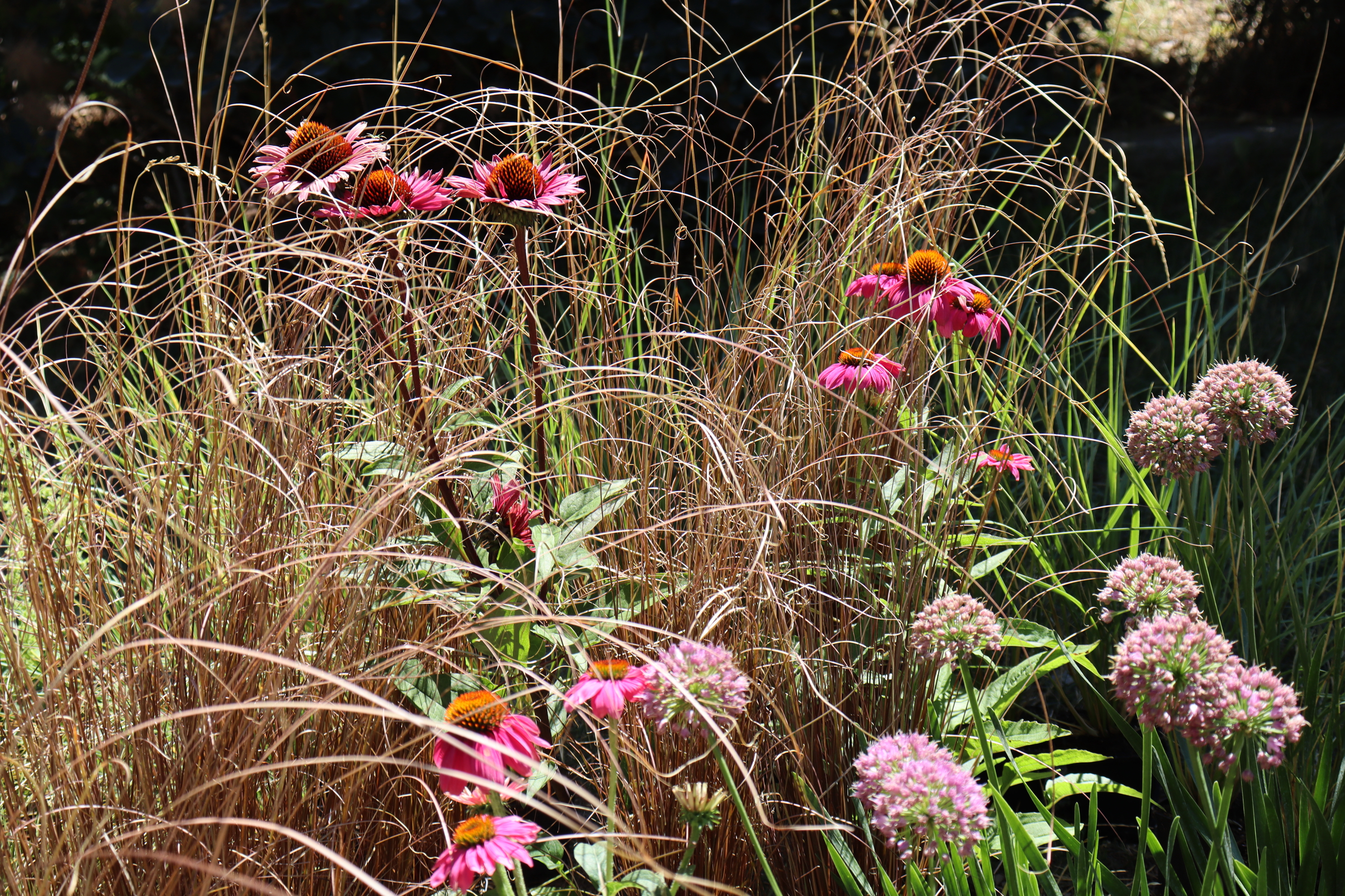 Torsán Lilla - Kerttervezés & tanácsadás