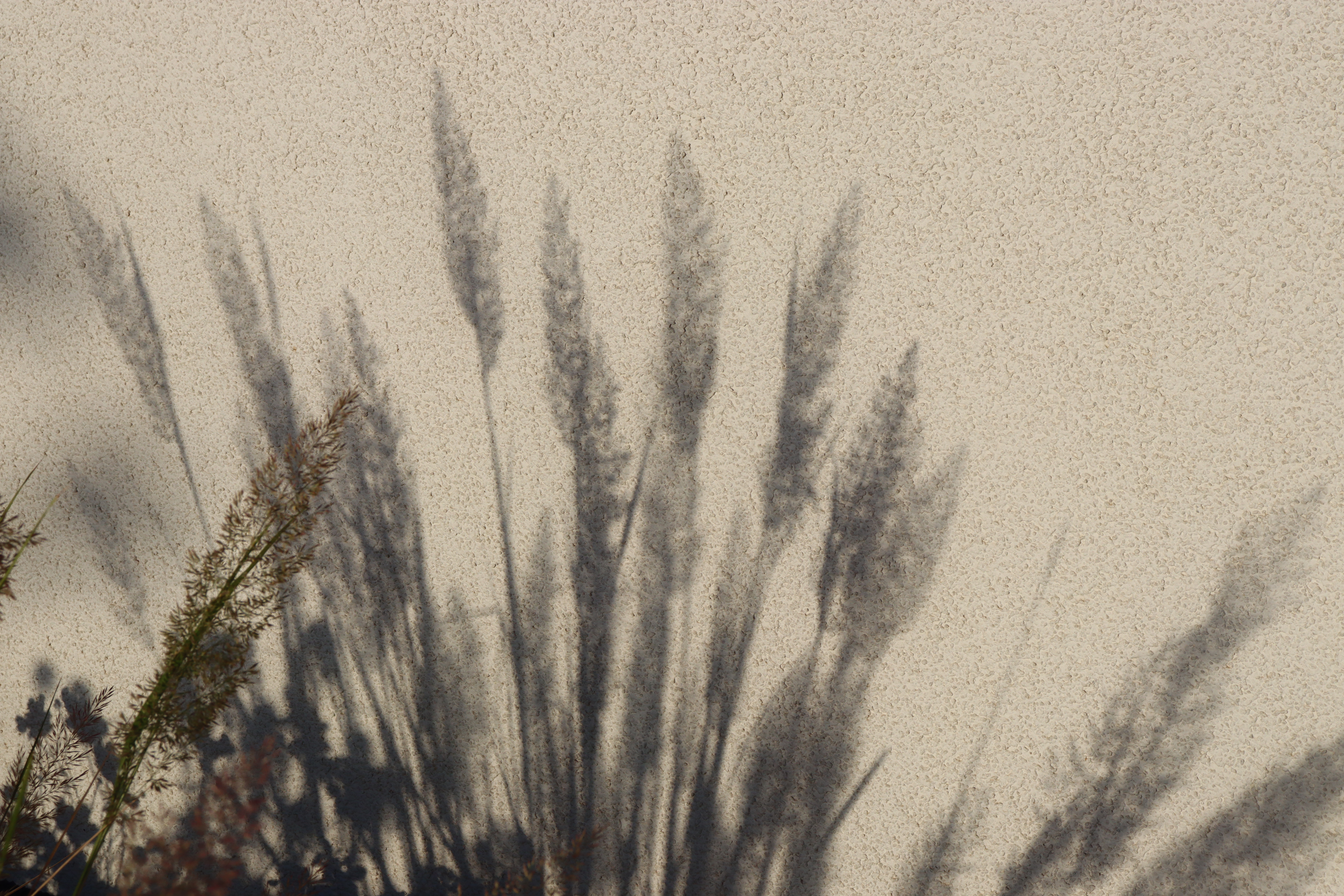 Torsán Lilla - Kerttervezés & kertépítés