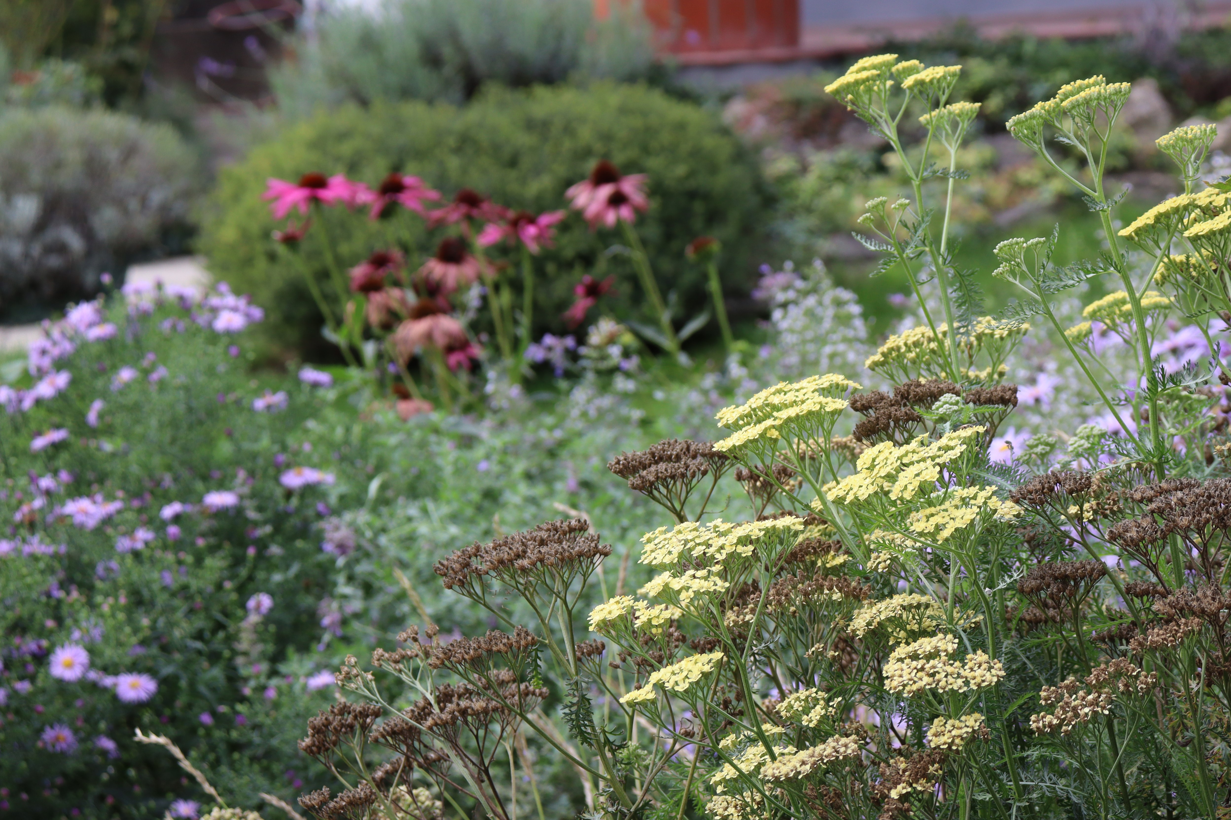 Torsán Lilla - Kerttervezés & kertépítés