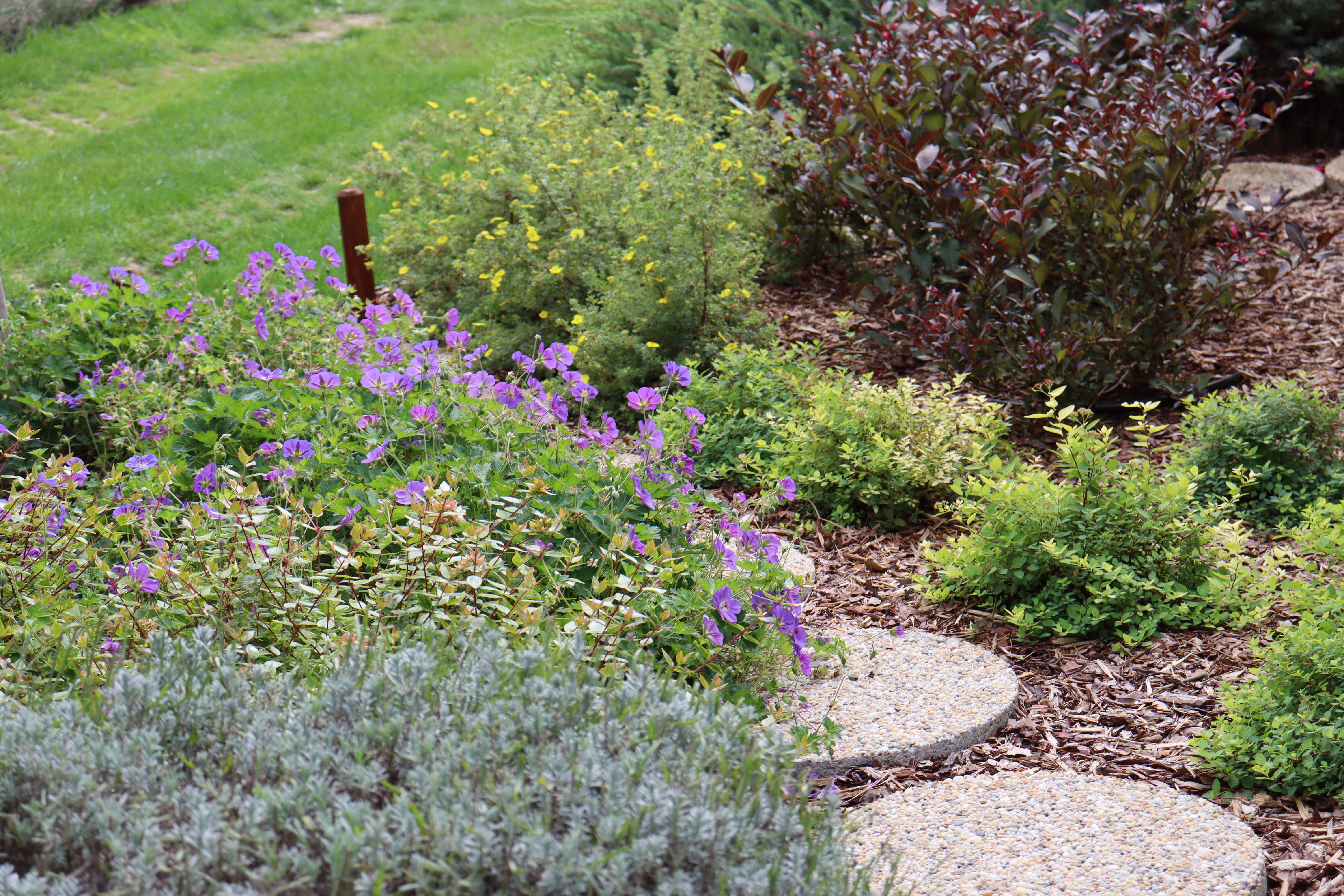 Torsán Lilla - Kerttervezés & kertépítés